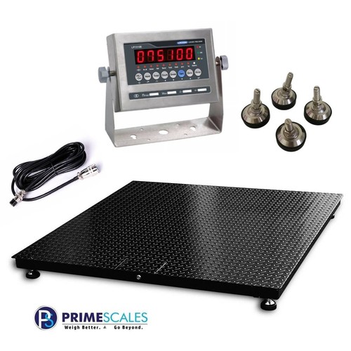 X48 ntep floor scale 5000 - floor,